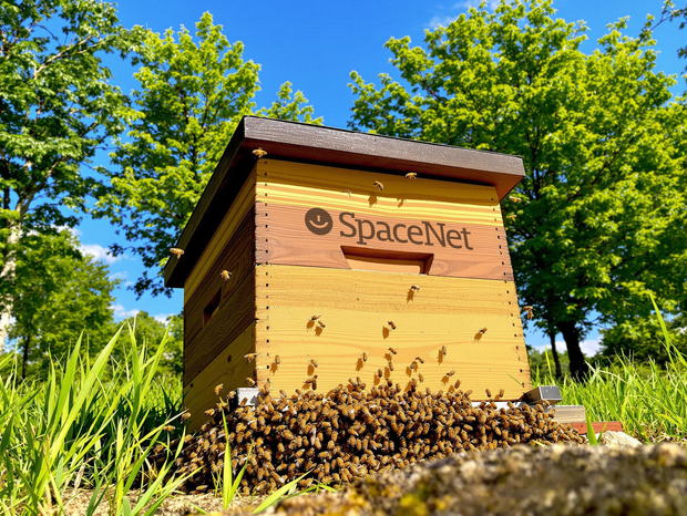 Bild eines Bienenstocks mit der Aufschrift SpaceBees. Im Hintergrund ein grüner Wald.